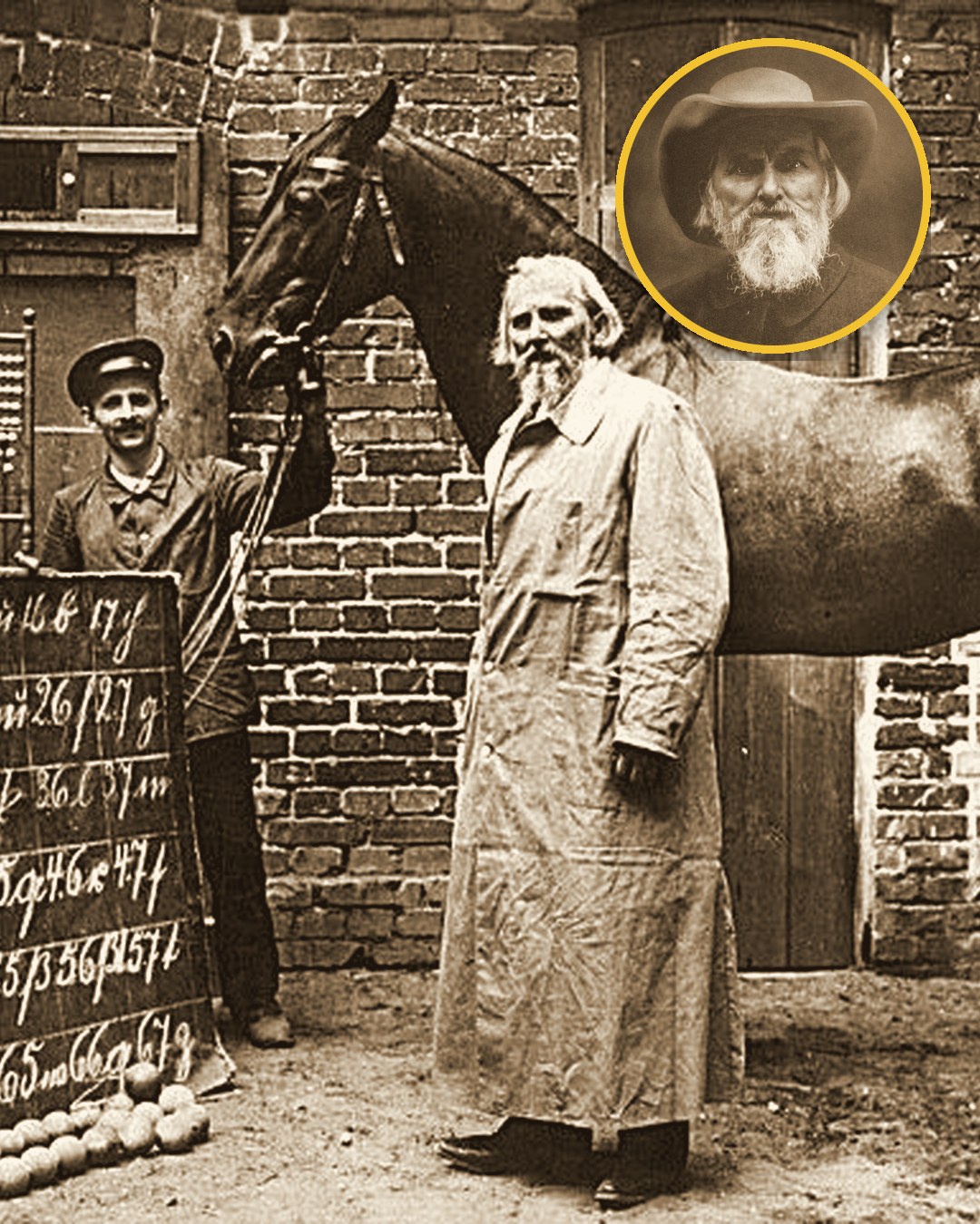 Clever Hans: con ngựa làm toán đúng 89% và cú lừa