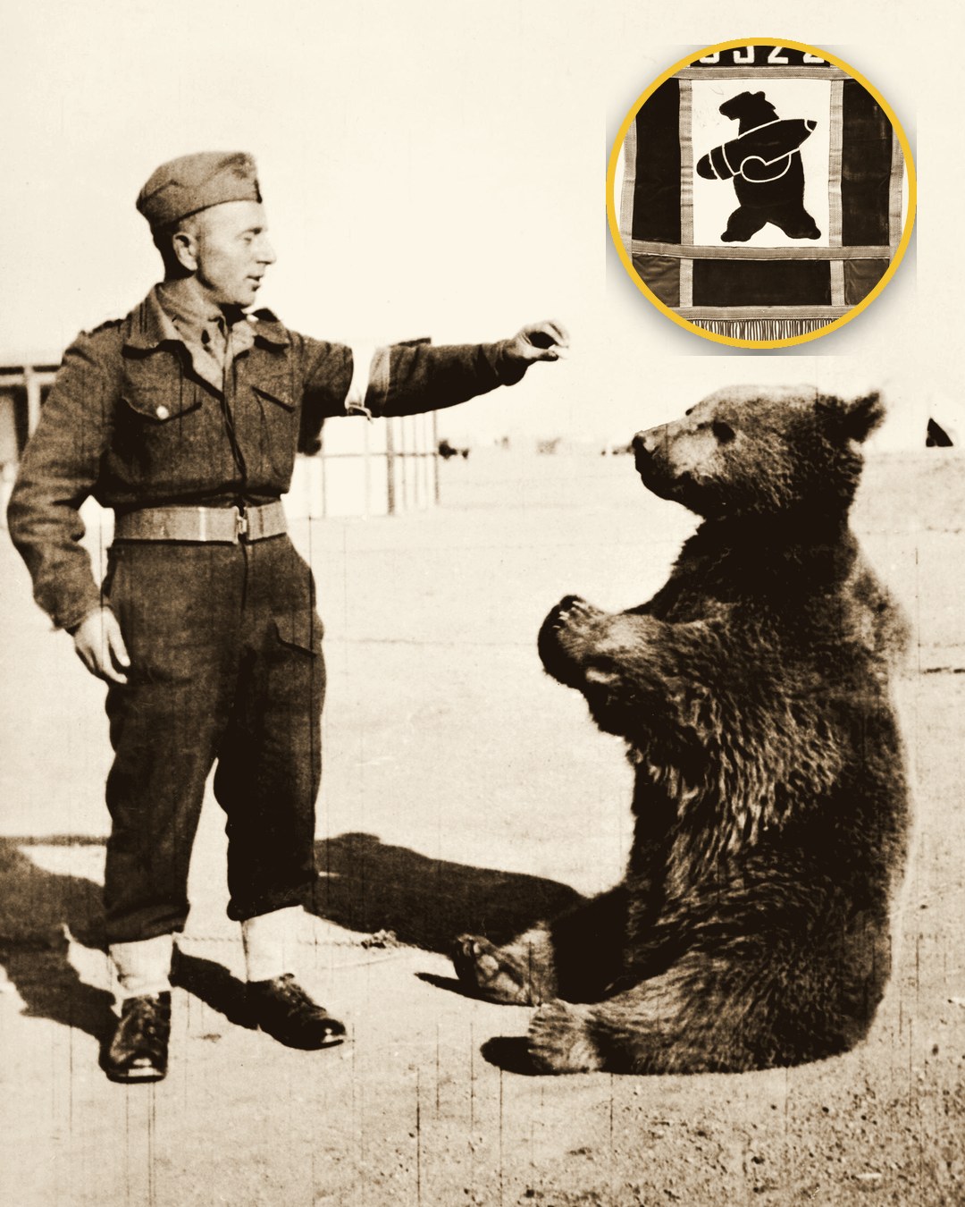 Wojtek: chú gấu mang quân hàm binh nhì năm 1943