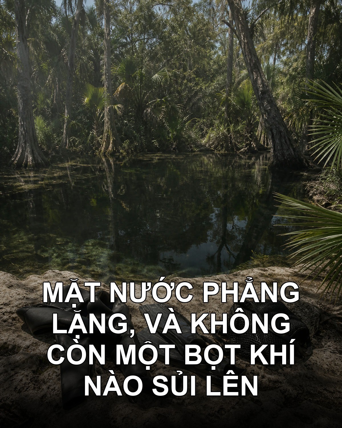 Ba đứa trẻ đang chơi bên hồ thì thấy một người nổi lên, úp mặt xuống nước