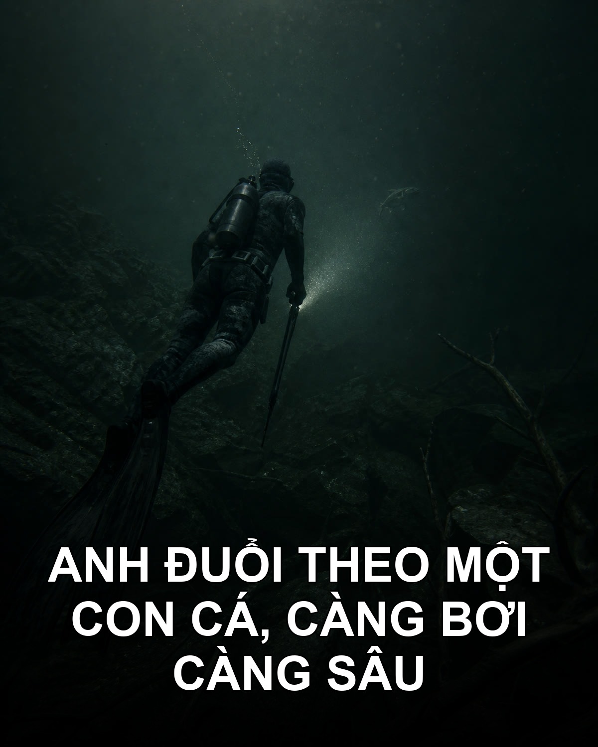 Tìm anh suốt 26 ngày ở nhầm chỗ, chỗ đúng cách hai mét