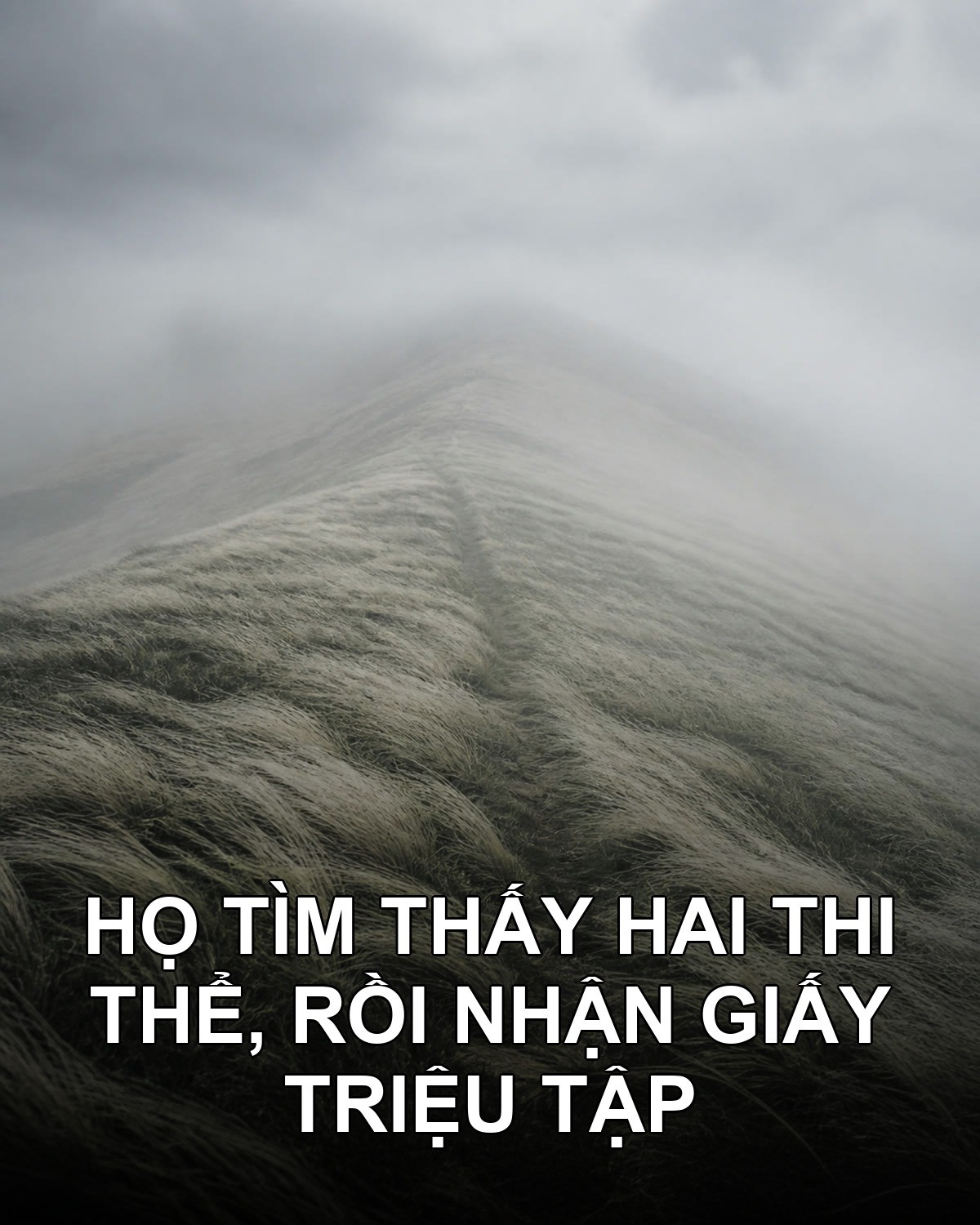Họ tìm thấy hai thi thể, rồi nhận giấy triệu tập