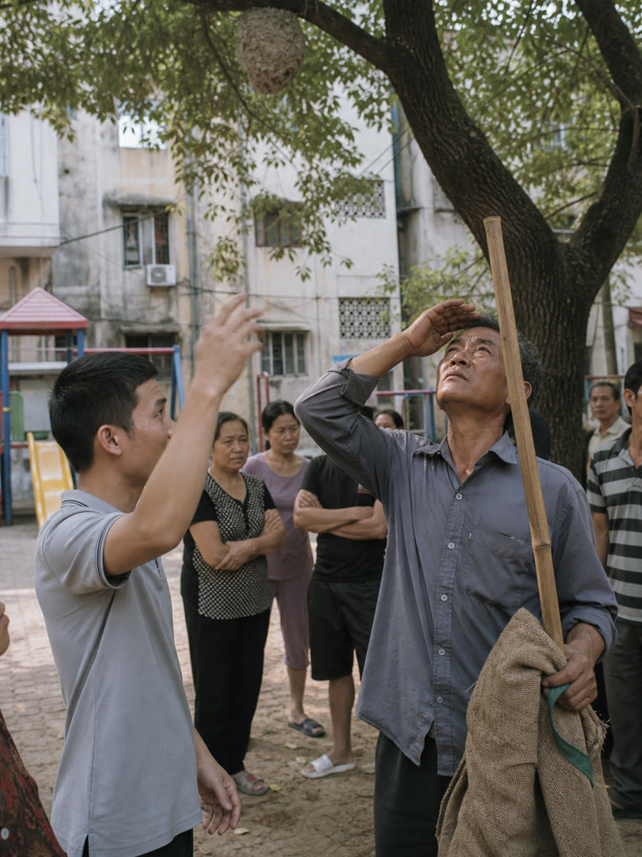 Cậu nhân viên hỏi tôi định trèo lên bắt tổ ong bằng tay thật à, và tôi chỉ đứng dưới gốc cây thêm mười phút