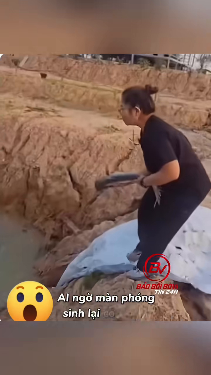 Dòng chữ chốt hạ của clip phóng sinh. Ảnh chụp màn hình clip của @vuongduatin.